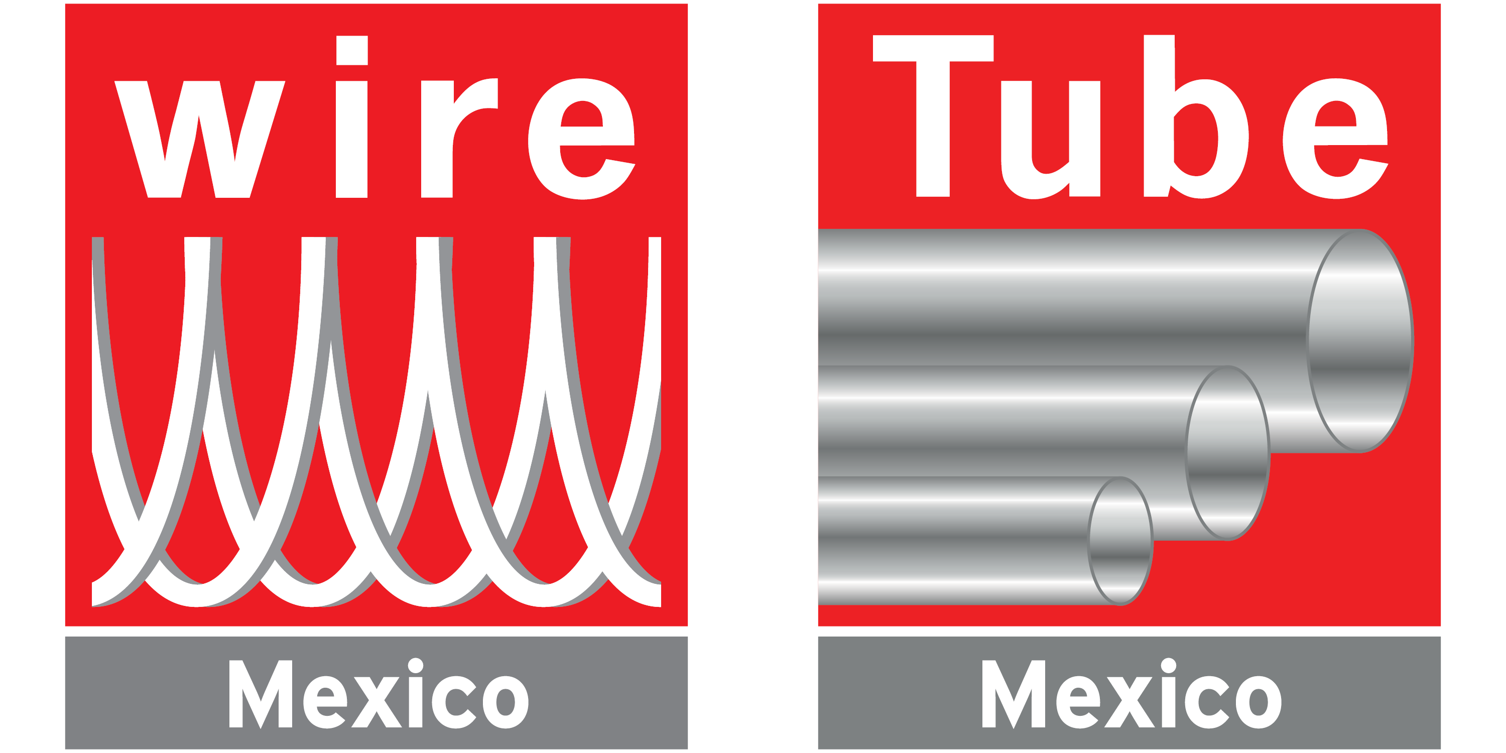 wire Mexico Logo
